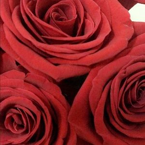 Meet your Posher, Janay